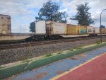 ELBR FTT-032291-1